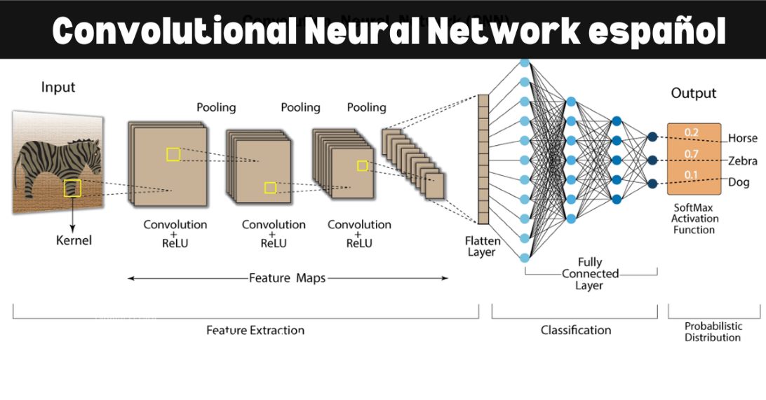 Convolutional Neural Network español – Let’s take a Tour!
