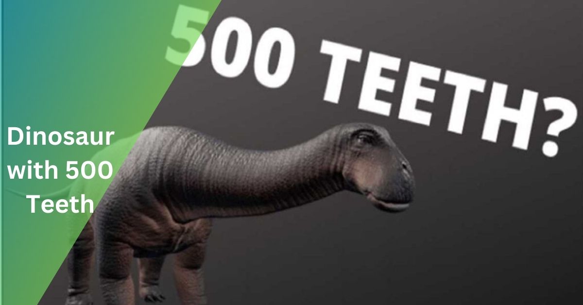 Dinosaur with 500 Teeth – Nigersaurus Chronicles!