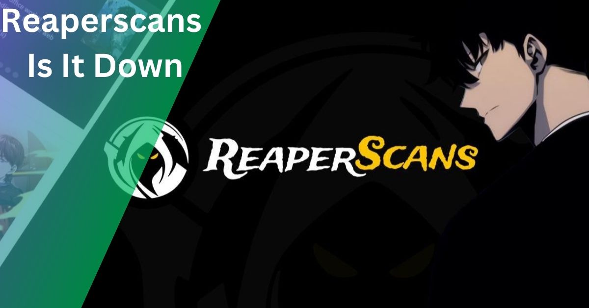 Reaperscans Is It Down – Updates And Solutions!
